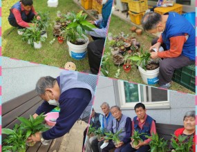 원예치료(정화식물 수경재배)